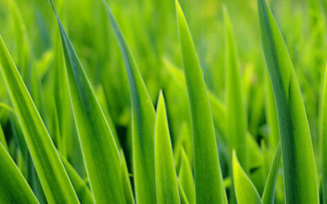 Sustainable "Clip-On" Room