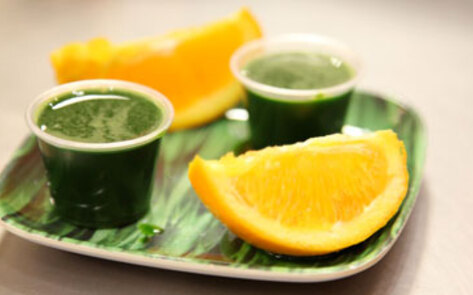 Wheatgrass Benefits Exercising