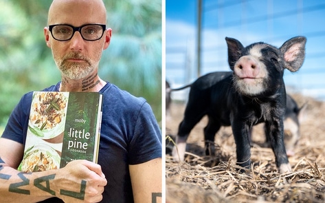 Moby Just Wrote a Vegan Cookbook. And All Proceeds Go to Rescue Animals.