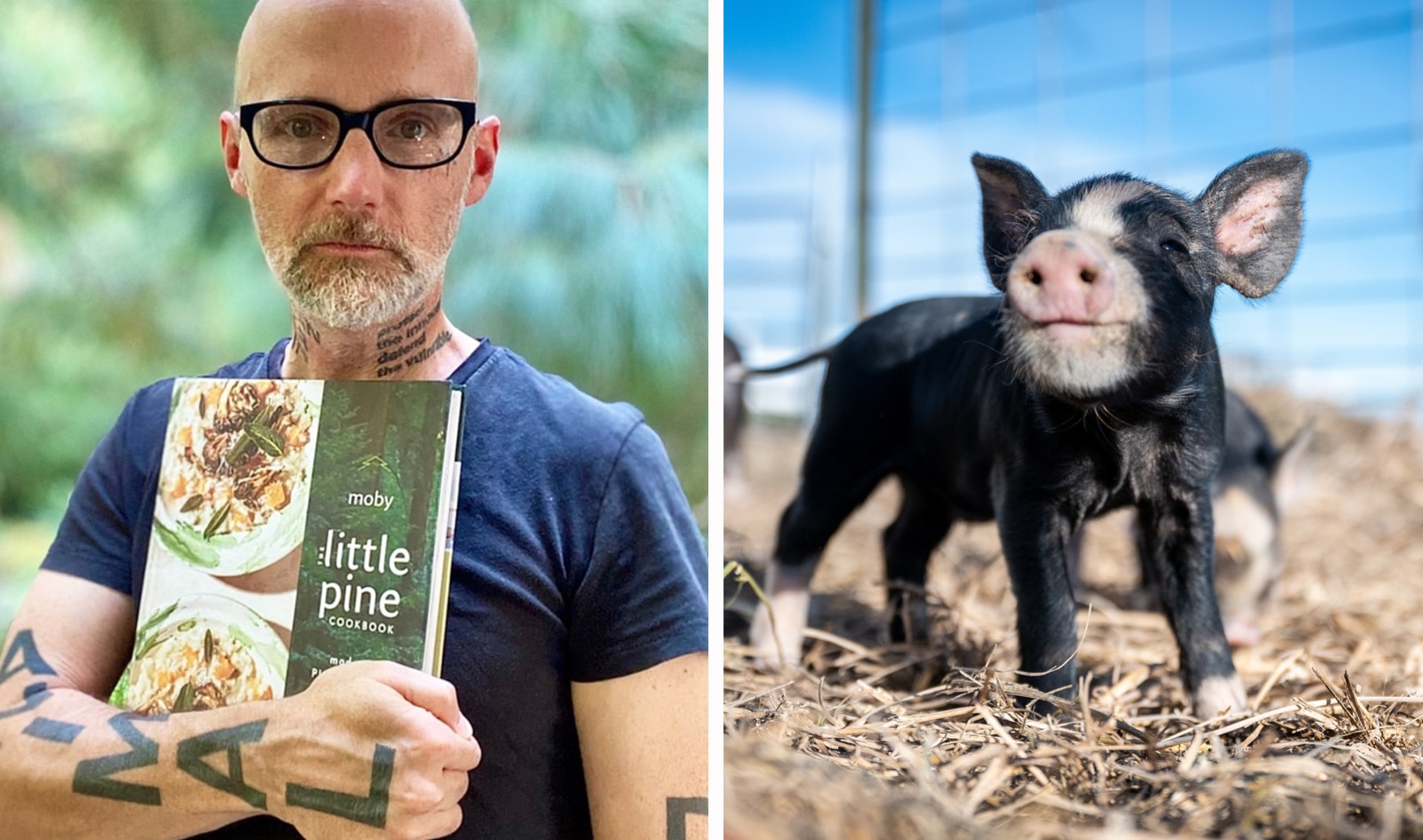 Moby Just Wrote a Vegan Cookbook. And All Proceeds Go to Rescue Animals.