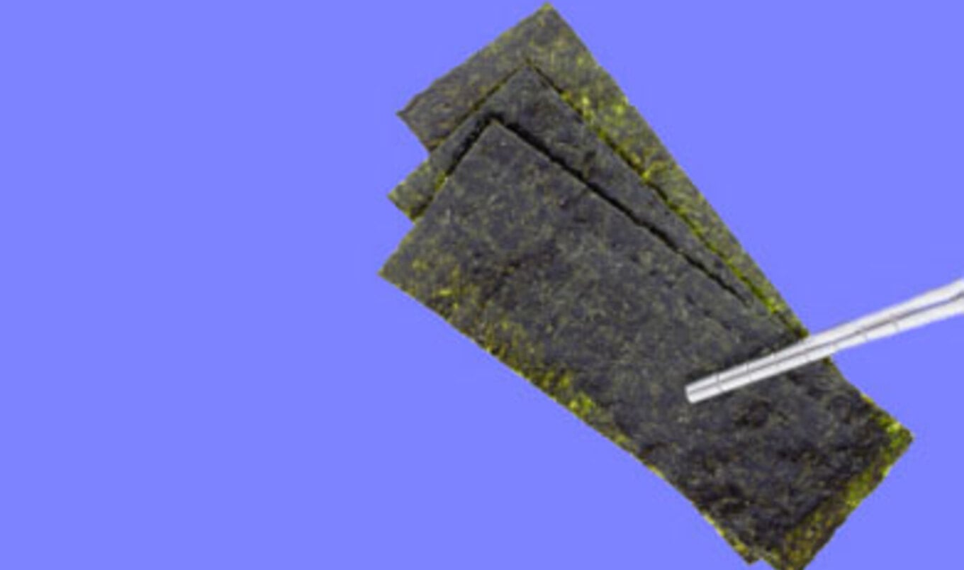 Roasted Seaweed Snack