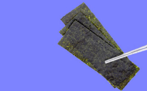 Roasted Seaweed Snack