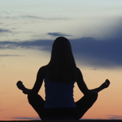 Vegan Yogi Breaks Record