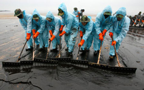 Study: Gulf Seafood Unsafe