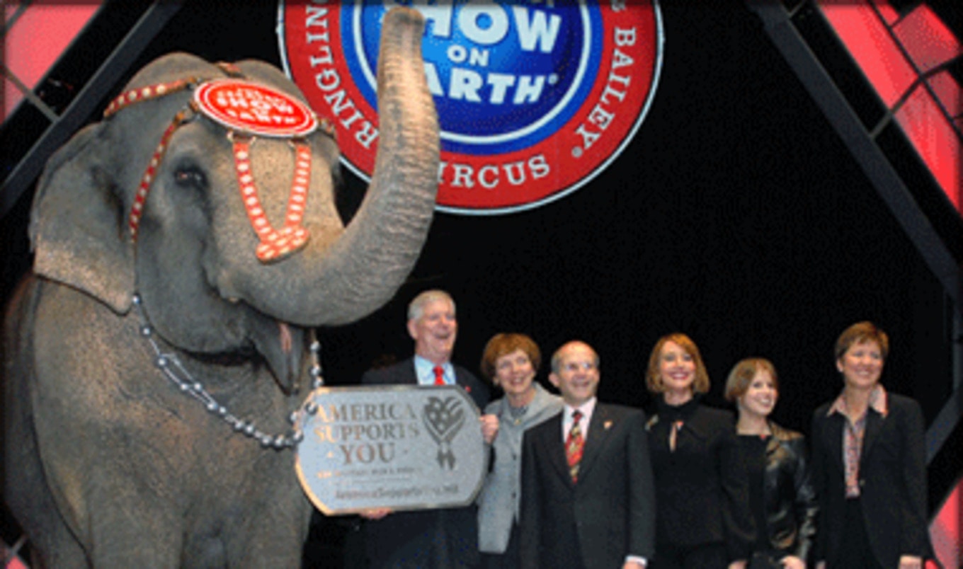 Los Angeles Bans the Use of Bullhooks in Circuses