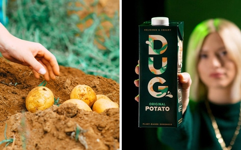 Does the World Really Need Another Vegan Milk? How About One Made From Potatoes?