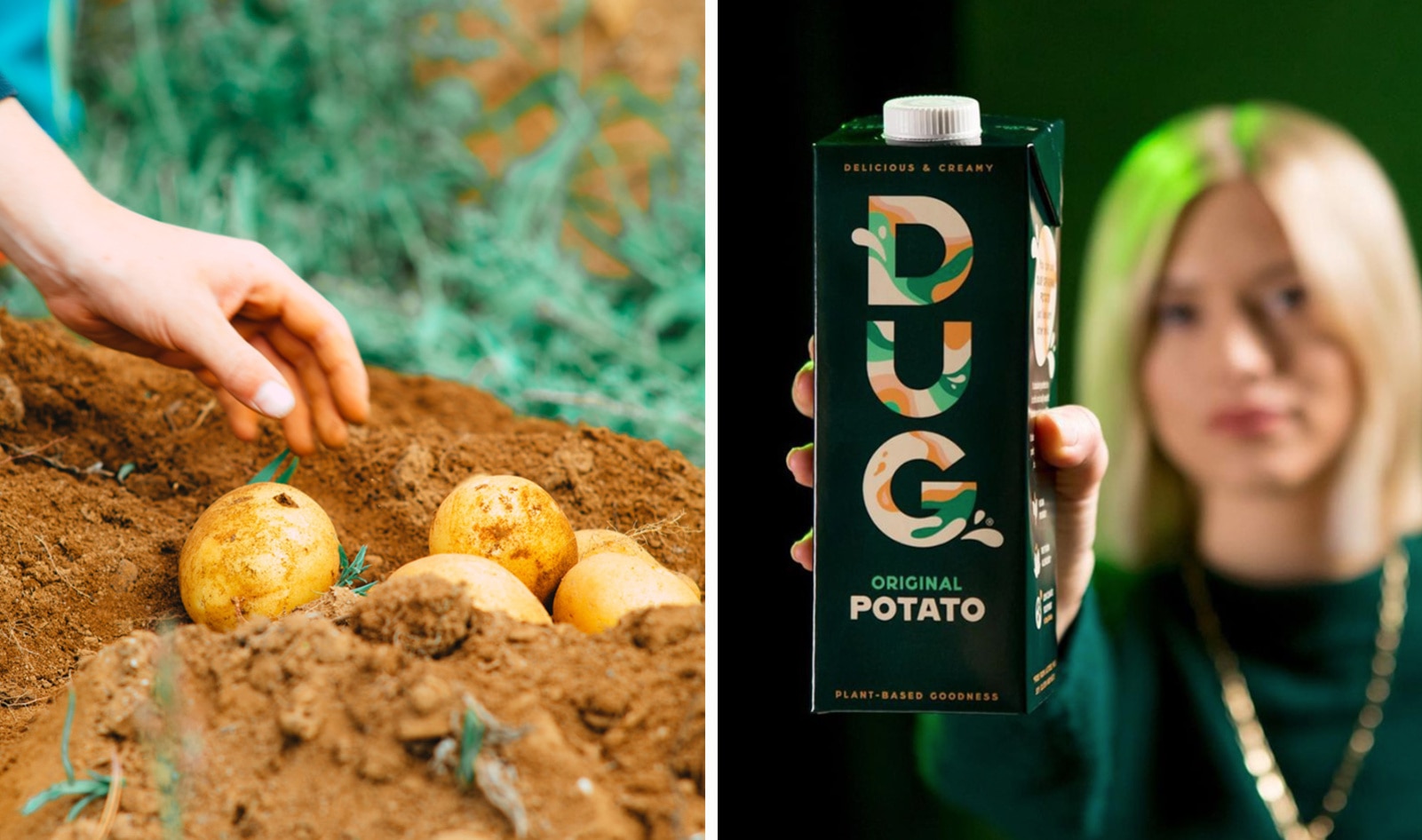 Does the World Really Need Another Vegan Milk? How About One Made From Potatoes?