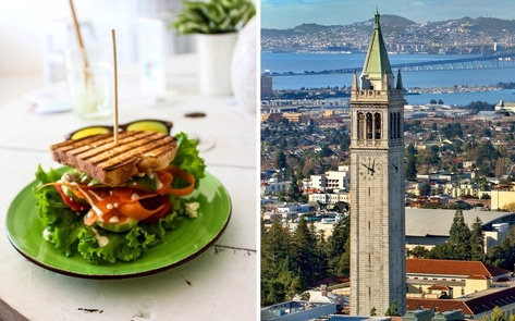 Berkeley Becomes First US City to Commit to Vegan Meals