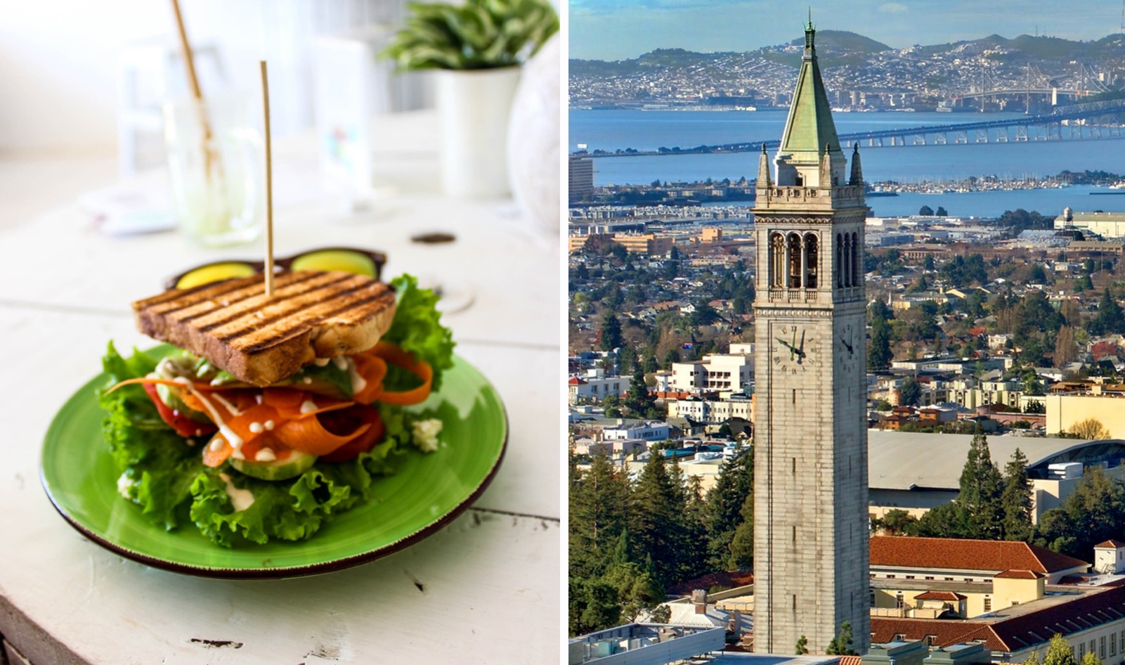 Berkeley Becomes First US City to Commit to Vegan Meals