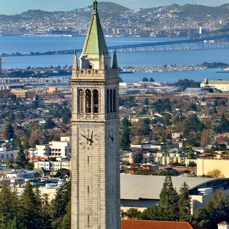 Berkeley Becomes First US City to Commit to Vegan Meals