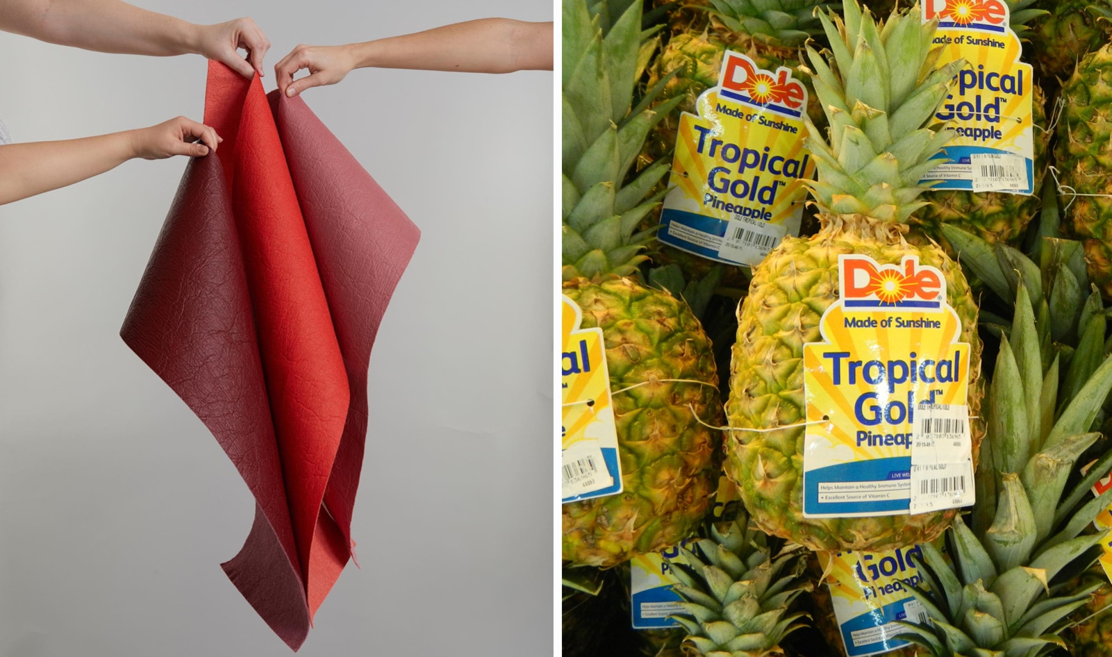 Dole Strikes Deal to Turn Its Pineapple Leaves into Vegan Leather
