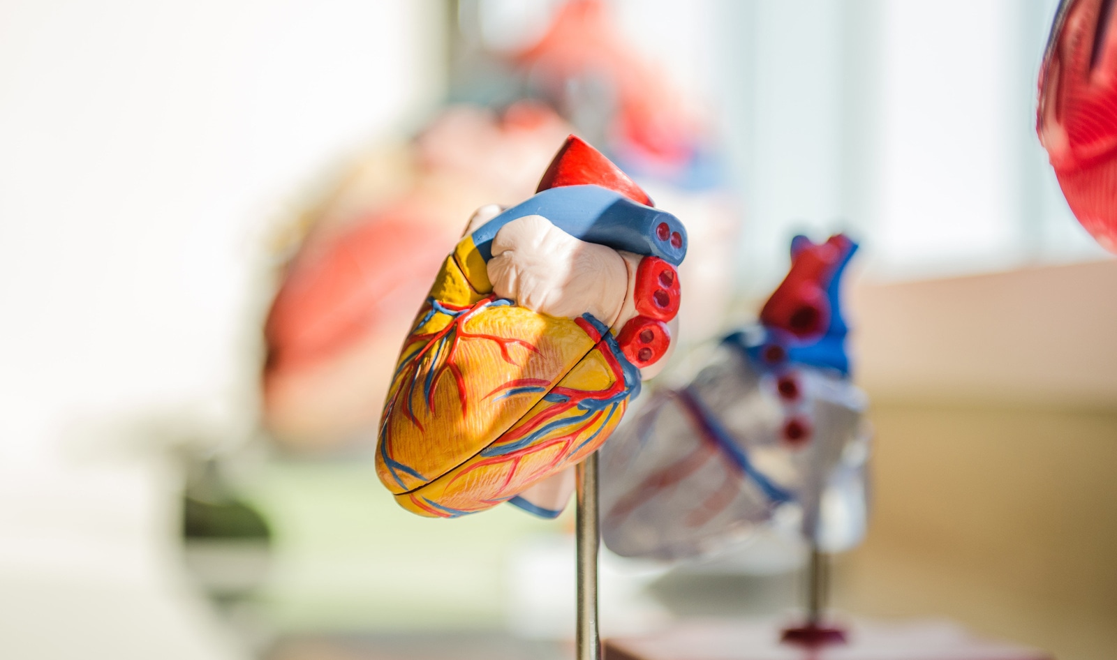 The Largest Study of Its Kind Links Meat to 18-Percent Increase in Heart Disease Risk&nbsp;&nbsp;