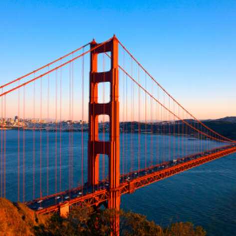 The 20 Best Vegan Dishes in the Mission District