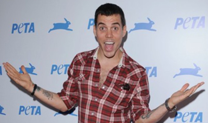 Steveo