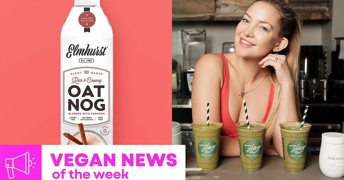 Kate Hudson's Holiday Smoothie, Oat Nog, and More Vegan Food News of the Week - Vimarsana News