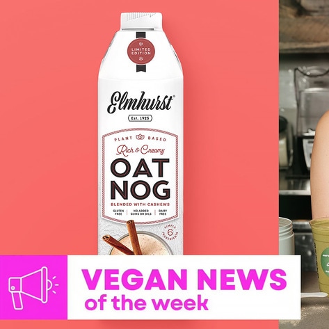 Kate Hudson's Holiday Smoothie, Oat Nog, and More Vegan Food News of the Week