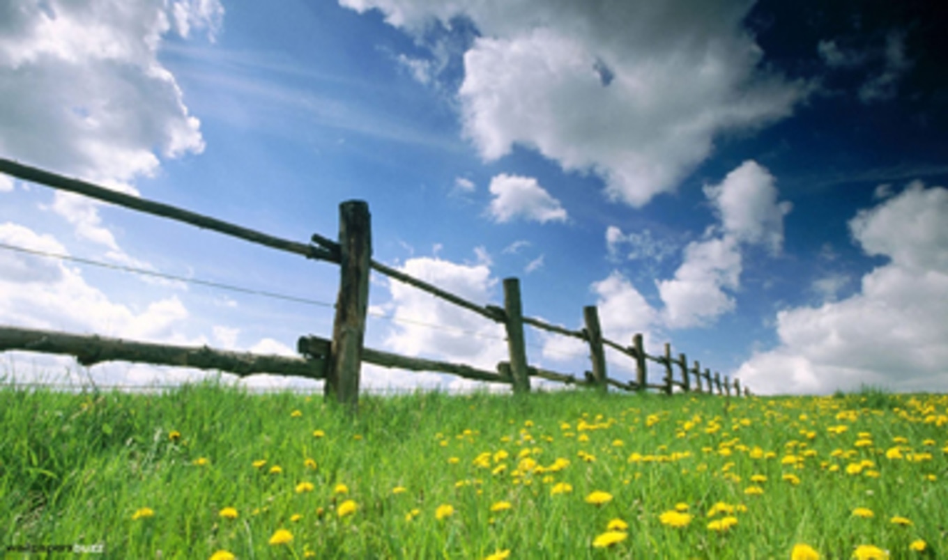 UN Study Details Environmental Need for Less Meat