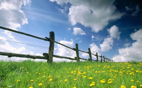 UN Study Details Environmental Need for Less Meat