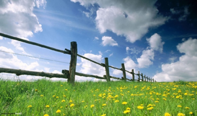 VNDskygrassfence