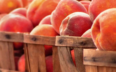 Ginger White Peach Bellinis