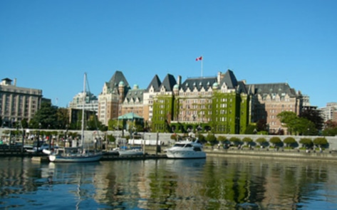 Vegan Author Opens Store