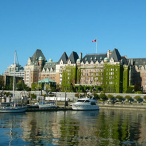 Vegan Author Opens Store