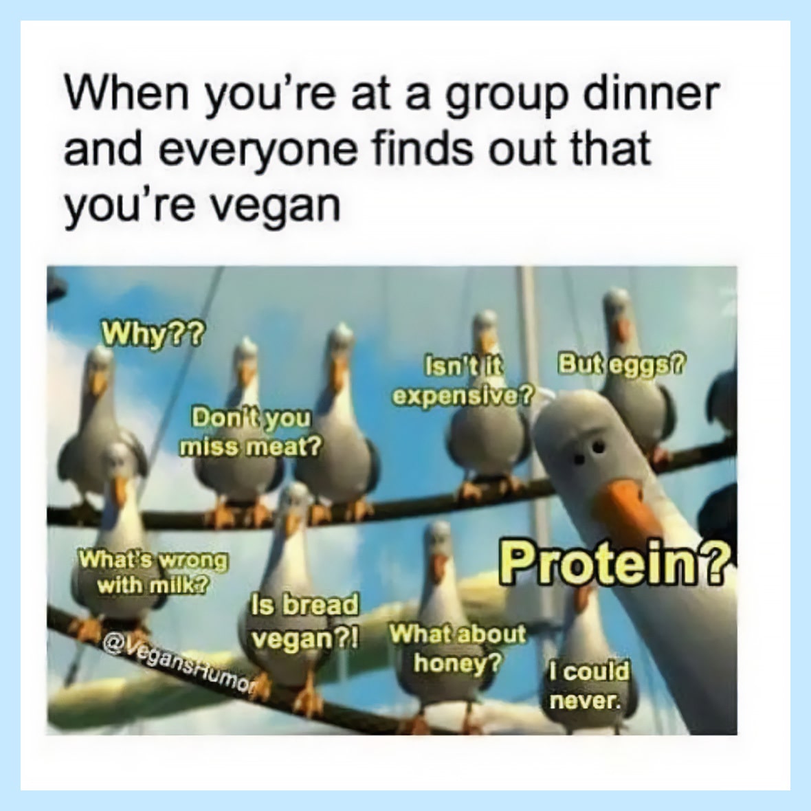 An image of the seagulls from Finding Nemo with various questions including "Why??" and "Where do you get your protein???" Text above reads: When you're at a group dinner and everyone finds out you're vegan.