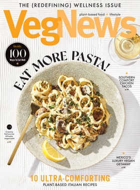 #133 Wellness Issue