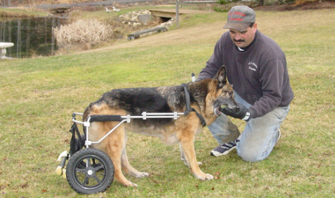 Road Trip for Animals