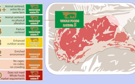 Canada's Welfare Labels