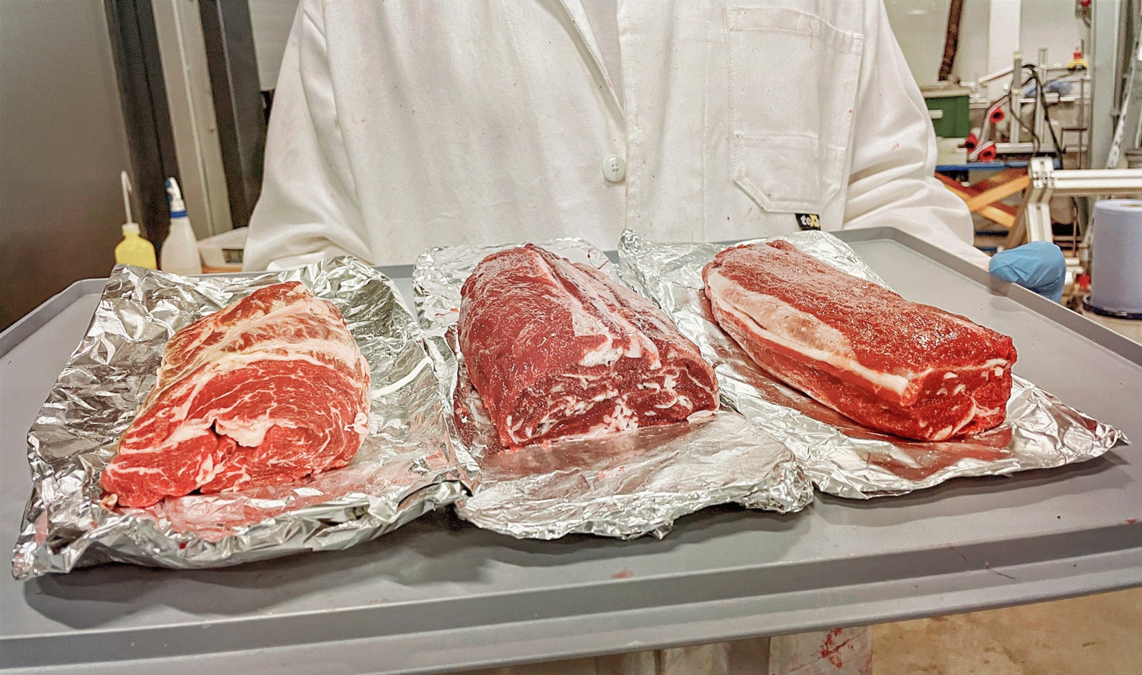 Can Vegan Steak Ever Truly Mimic Animal? This Startup Bets You Can't Tell the Difference | VegNews Can Vegan Steak Ever Truly Mimic Animal? This Startup Bets You Can't Tell the Difference | VegNews