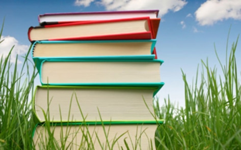 Top 5 Vegan Hybrid Books of 2012