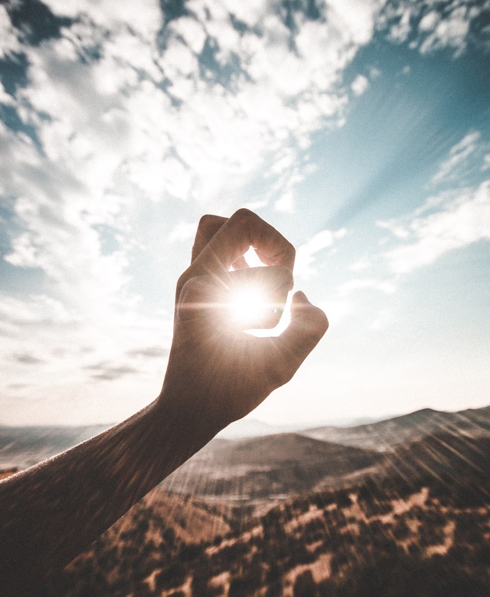 VegNews.veganvitaminD.Unsplash (1)