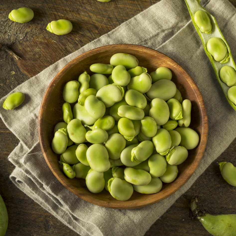 What are Fava Beans? What You Need to Know About One of the World's Oldest Pulses&nbsp;