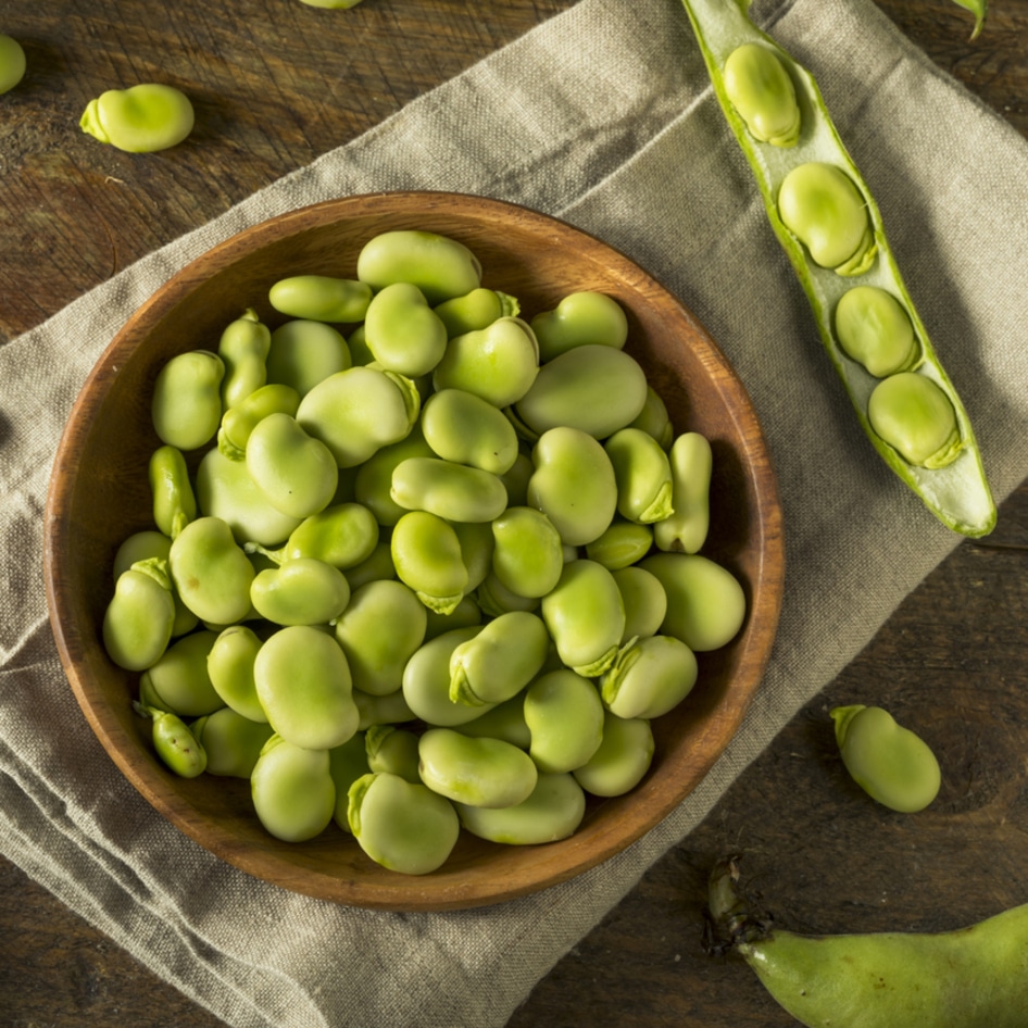 What are Fava Beans? What You Need to Know About One of the World's Oldest Pulses&nbsp;