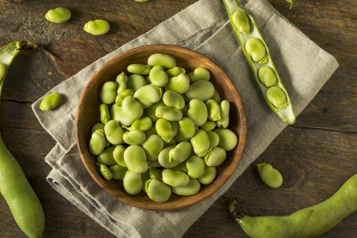 VegNews.FavaBeans