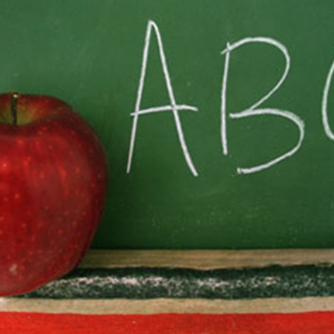 Veg-Friendly School Lunches