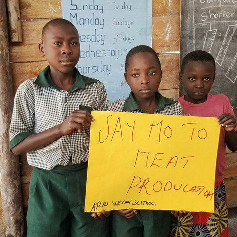 Uganda's First Vegan School Opens to Protect Children From Zoonotic Disease