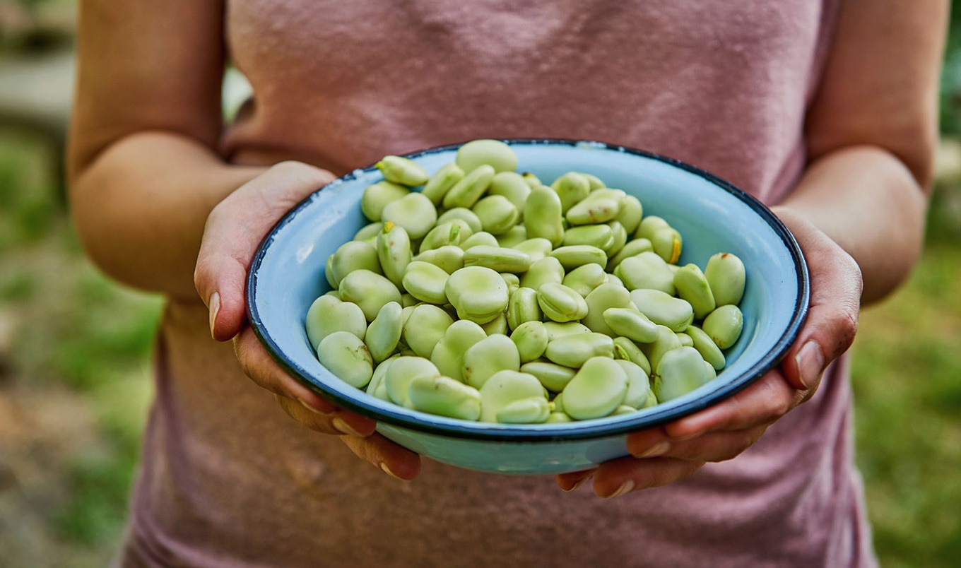 VegNews.FavaBeans.AdobeStock