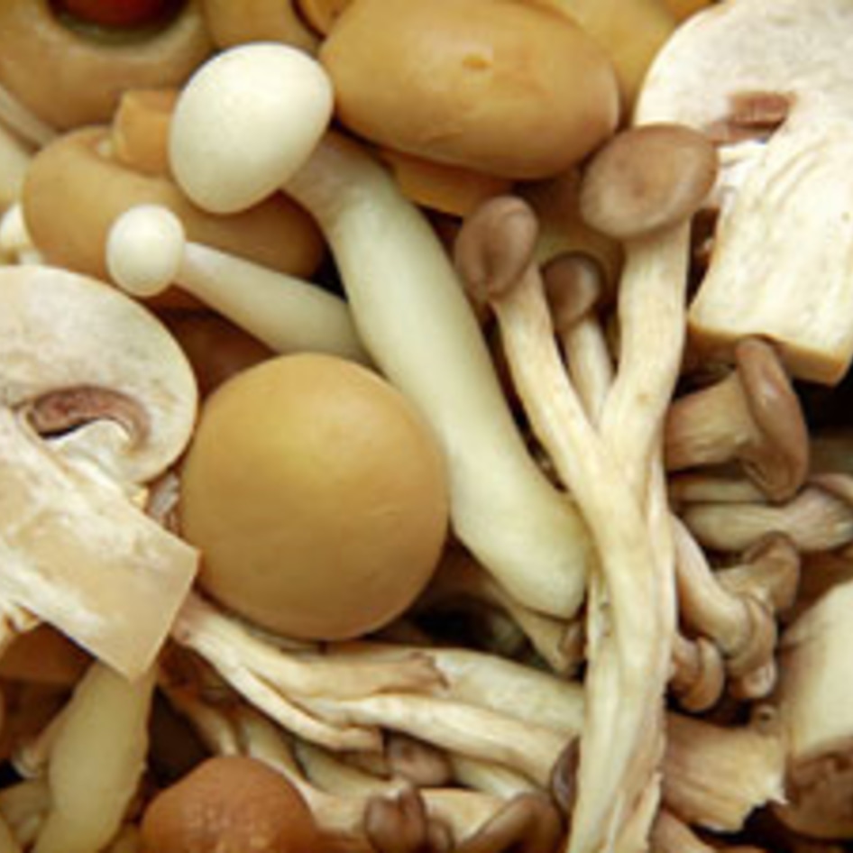 Savory Walnut-Mushroom Stuffing