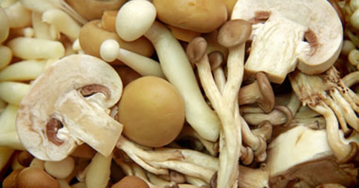 Savory Walnut-Mushroom Stuffing | VegNews