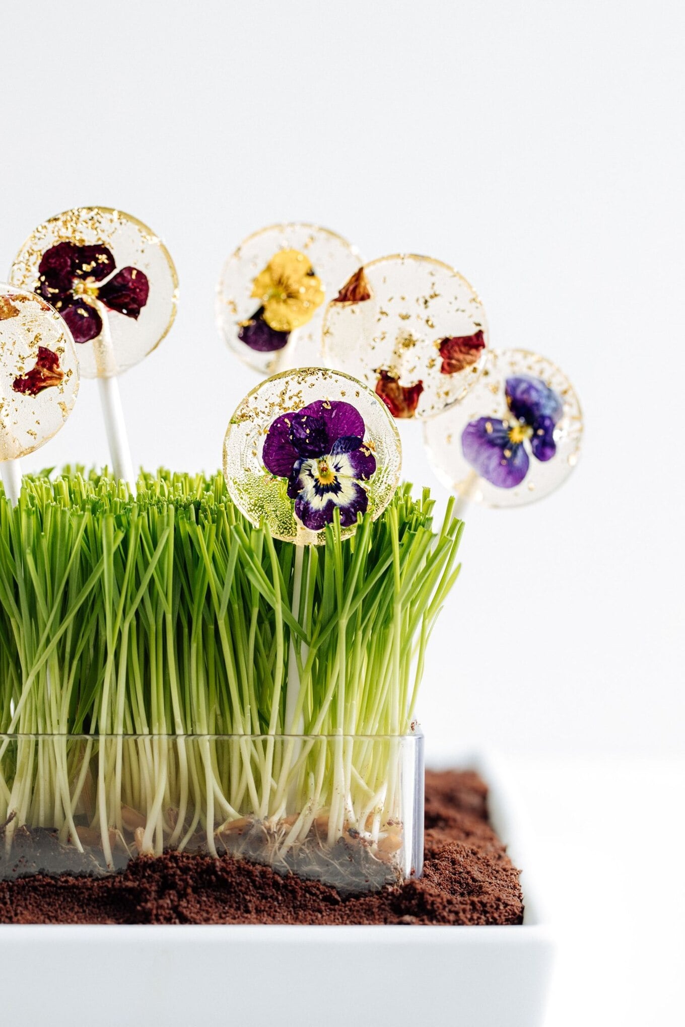 VegNews.FlowerPops.WolfgangPuckCatering