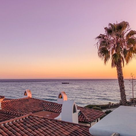 Articles by Anna Keeve | VegNews