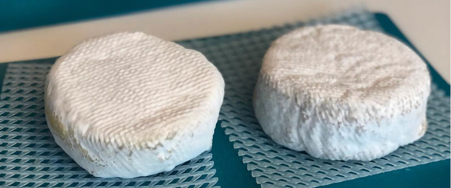 Danish Startup Leverages Dairy Industry Know-How To Make Realistic Vegan Cheese