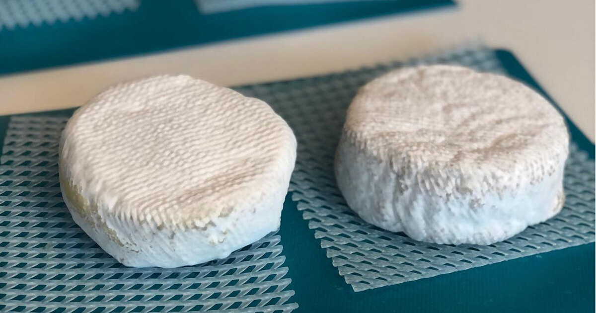 Danish Startup Leverages Dairy Industry KnowHow To Make Realistic