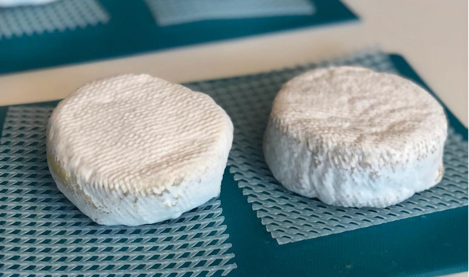 Danish Startup Leverages Dairy Industry Know-How To Make Realistic Vegan Cheese