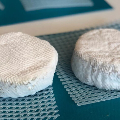 Danish Startup Leverages Dairy Industry Know-How To Make Realistic Vegan Cheese