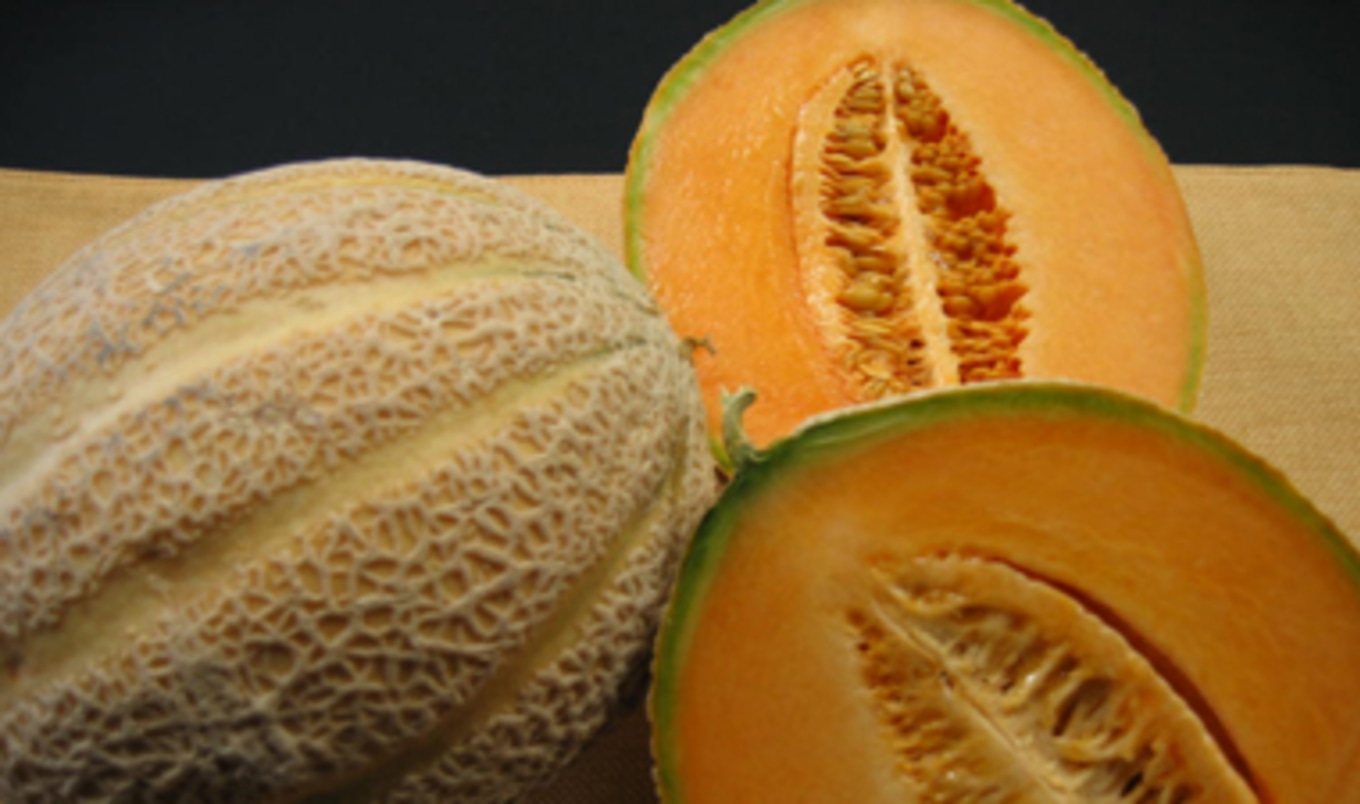 Cantaloupe Listeria Outbreak VegNews