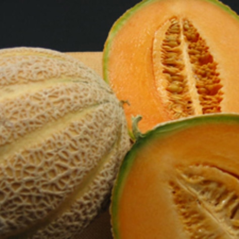 Cantaloupe Listeria Outbreak