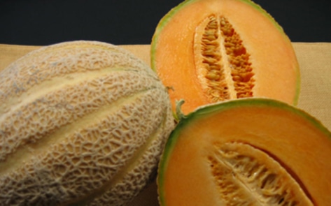 Cantaloupe Listeria Outbreak